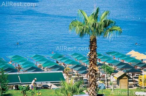 Dragos Beach Hotel 9